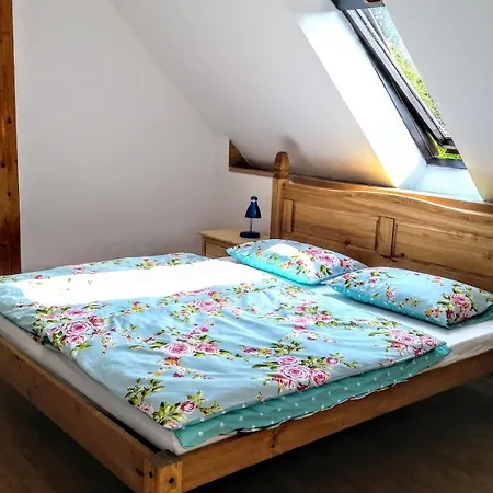V Podkrusnohori Holiday home *